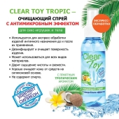 Очищающий спрей для игрушек CLEAR TOY Tropic - 100 мл. - Биоритм - купить с доставкой в Ессентуках
