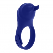 Синее эрекционное виброкольцо с клиторальной подушечкой и пультом ДУ Adjustable Fun Ring - Zero Tolerance - в Ессентуках купить с доставкой