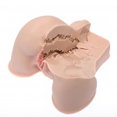 Мастурбатор-полуторс Naked Factory Kate - Naked Factory - в Ессентуках купить с доставкой