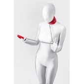 Красный ошейник с подкладкой из меха - ToyFa - купить с доставкой в Ессентуках