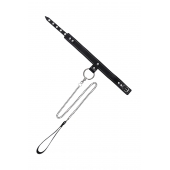 Черный узкий однослойный ошейник с серебристым поводком-цепочкой - Pecado - купить с доставкой в Ессентуках