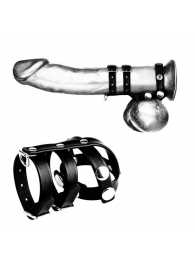 Комбинированное двойное кольцо с разделителем для мошонки и поводком - BlueLine - купить с доставкой в Ессентуках