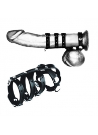 Комбинированный ремень на пенис с 3 кольцами и разделителем мошонки - BlueLine - купить с доставкой в Ессентуках