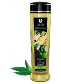 Массажное масло Organica с ароматом зеленого чая - 240 мл. - Shunga - купить с доставкой в Ессентуках
