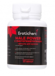 Капсулы для мужчин Erotichard male power с пантогематогеном - 20 капсул (0,370 гр.) - Erotic Hard - купить с доставкой в Ессентуках