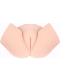 Мастурбатор-полуторс с вагиной и анусом Samanda - KOKOS - в Ессентуках купить с доставкой