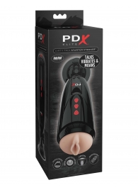 Мастурбатор-вагина с вибрацией Dirty Talk Starter Stroker - Pipedream - в Ессентуках купить с доставкой