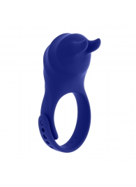 Синее эрекционное виброкольцо с клиторальной подушечкой и пультом ДУ Adjustable Fun Ring - Zero Tolerance - в Ессентуках купить с доставкой