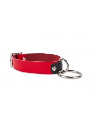 Красный ошейник с колечком - Пикантные штучки - купить с доставкой #SOTBIT_REGIONS_UF_V_REGION_NAME#
