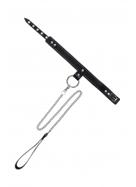 Черный узкий однослойный ошейник с серебристым поводком-цепочкой - Pecado - купить с доставкой в Ессентуках