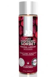 Лубрикант на водной основе с ароматом малины JO Flavored Raspberry Sorbet - 120 мл. - System JO - купить с доставкой в Ессентуках