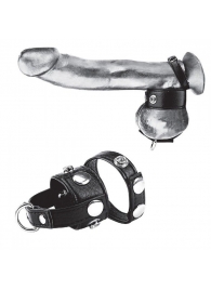 Утяжка для мошонки и пениса Cock Ring With 1  Ball Stretcher And Optional Weight Ring - BlueLine - купить с доставкой в Ессентуках