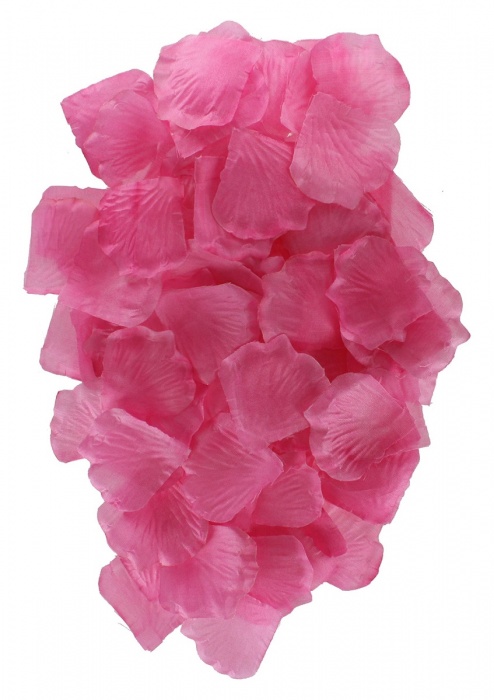 Эротический набор FANTASTIC PURPLE SEX TOY KIT - Toy Joy - купить с доставкой в Ессентуках