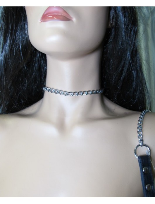 Металлический поводок с кожаной ручкой - БДСМ Арсенал - купить с доставкой в Ессентуках