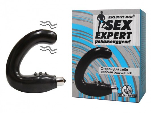 Чёрный массажёр простаты серии Sex Expert - Sex Expert - в Ессентуках купить с доставкой