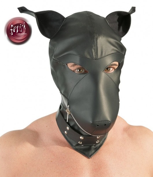 Шлем-маска Dog Mask в виде морды собаки - Orion - купить с доставкой в Ессентуках