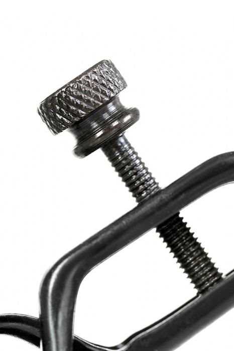 Черно-золотистые зажимы для сосков TOYFA Theatre - ToyFa - купить с доставкой в Ессентуках