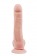 Телесный фаллоимитатор-реалистик Dual Density Dildo - 23 см. - Dream Toys купить с доставкой в интернет-магазине Orgasmix в Ессентуках Телесный фаллоимитатор-реалистик Dual Density Dildo - 23 см. - Dream Toys